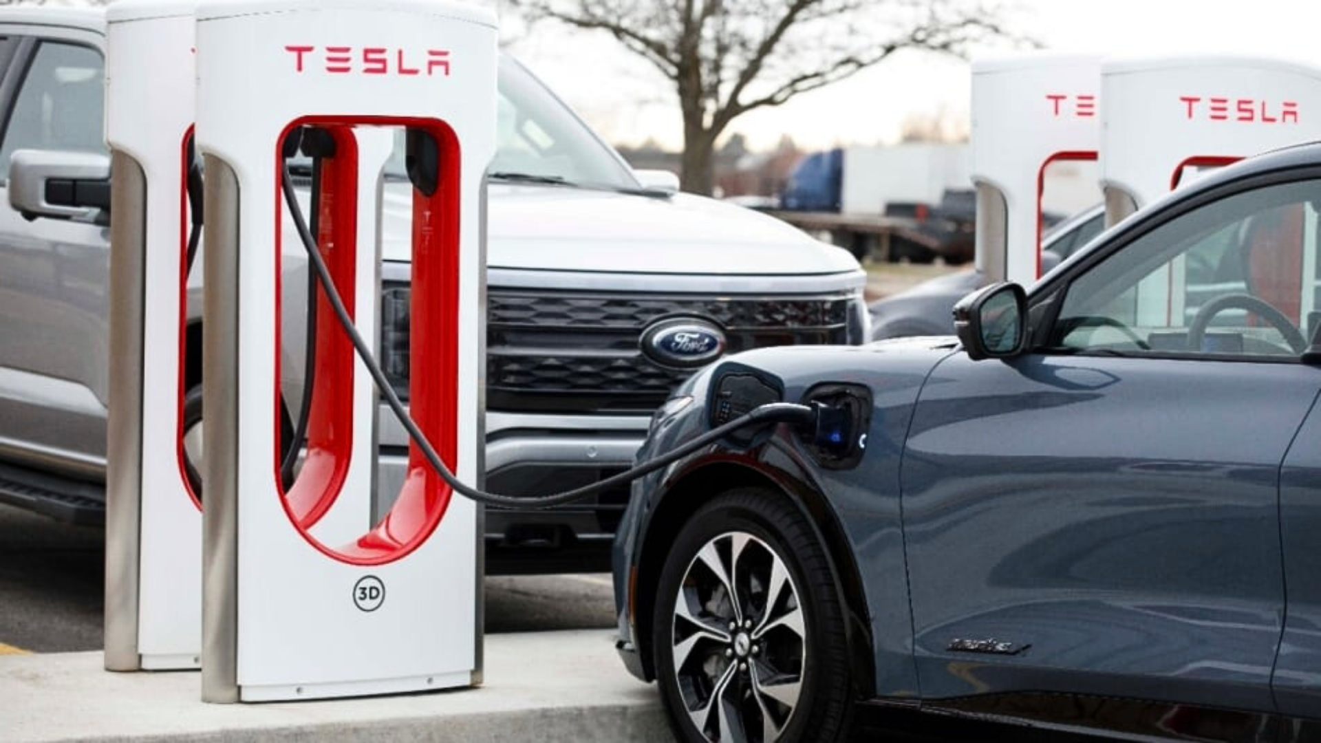 Ford EV drivers are given free Tesla Supercharger adapters
