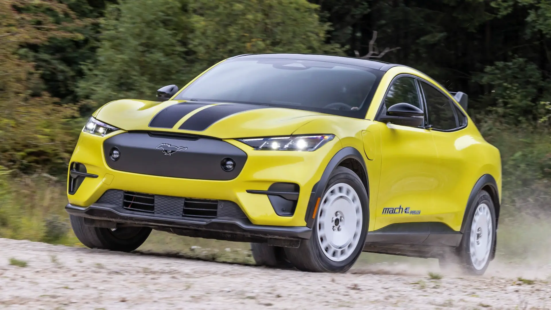 Sales soar when the Ford Mustang Mach-E goes on sale, This suggests affordable electric cars are the future