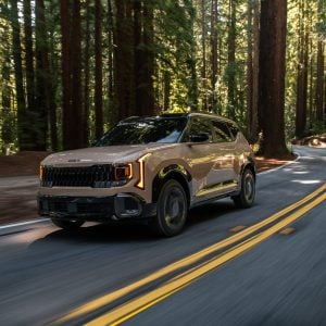 2026 Kia Seltos subcompact SUV in beige driving along a winding forest road with tall trees and double yellow lines