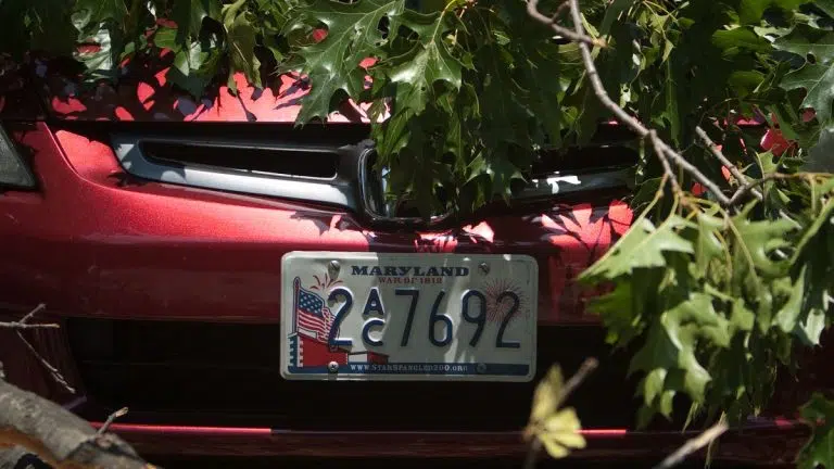 Inadvertently, Maryland licence plates advertise a Filipino gambling site